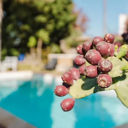 Casa Blandina * メンフィ